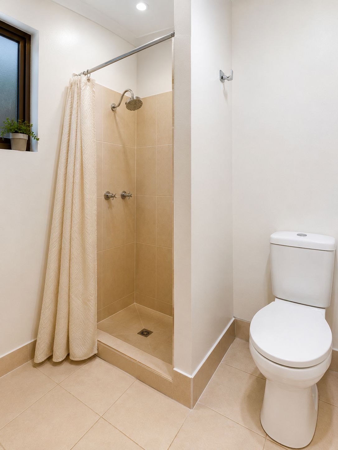 Korora Oasis — Home image 3