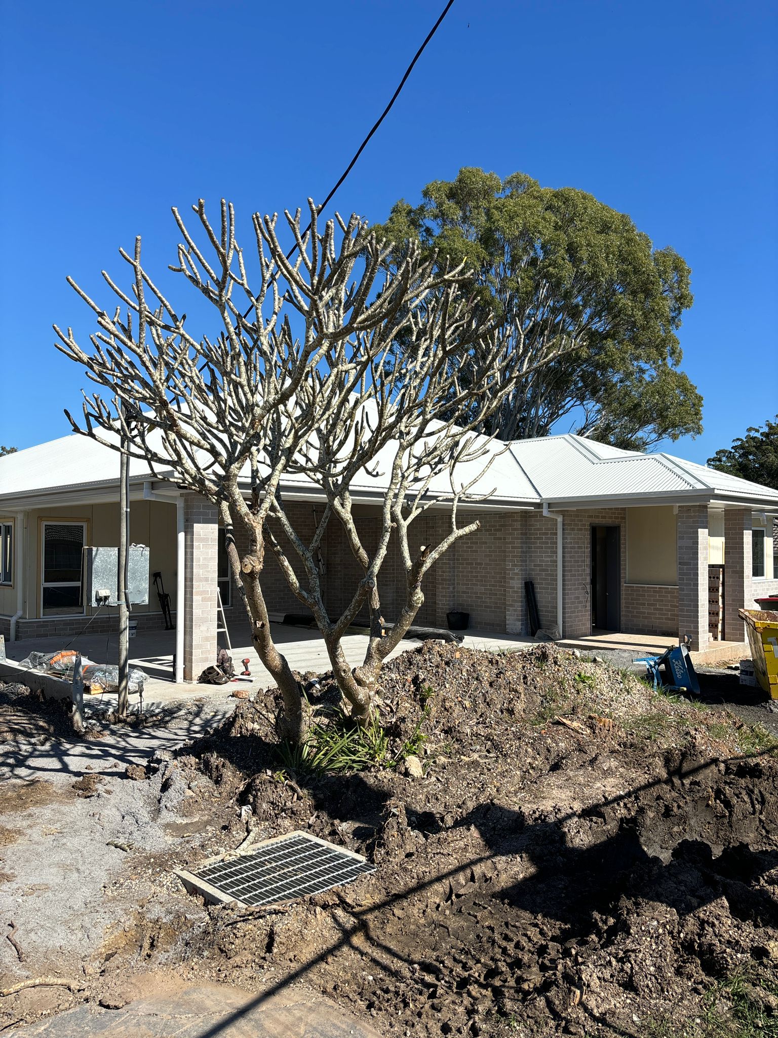 Brand New SDA/MTA House in the heart of Port Macquarie — Home image 3