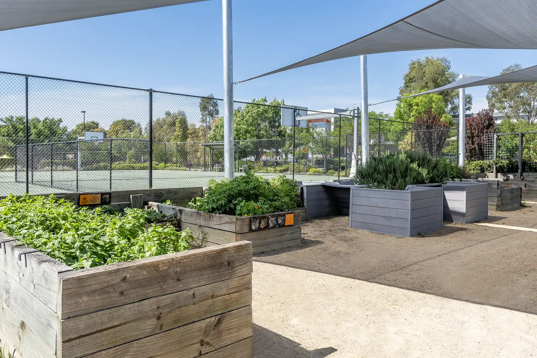 Safe & Friendly Shared Home in Ryde — Home image 2