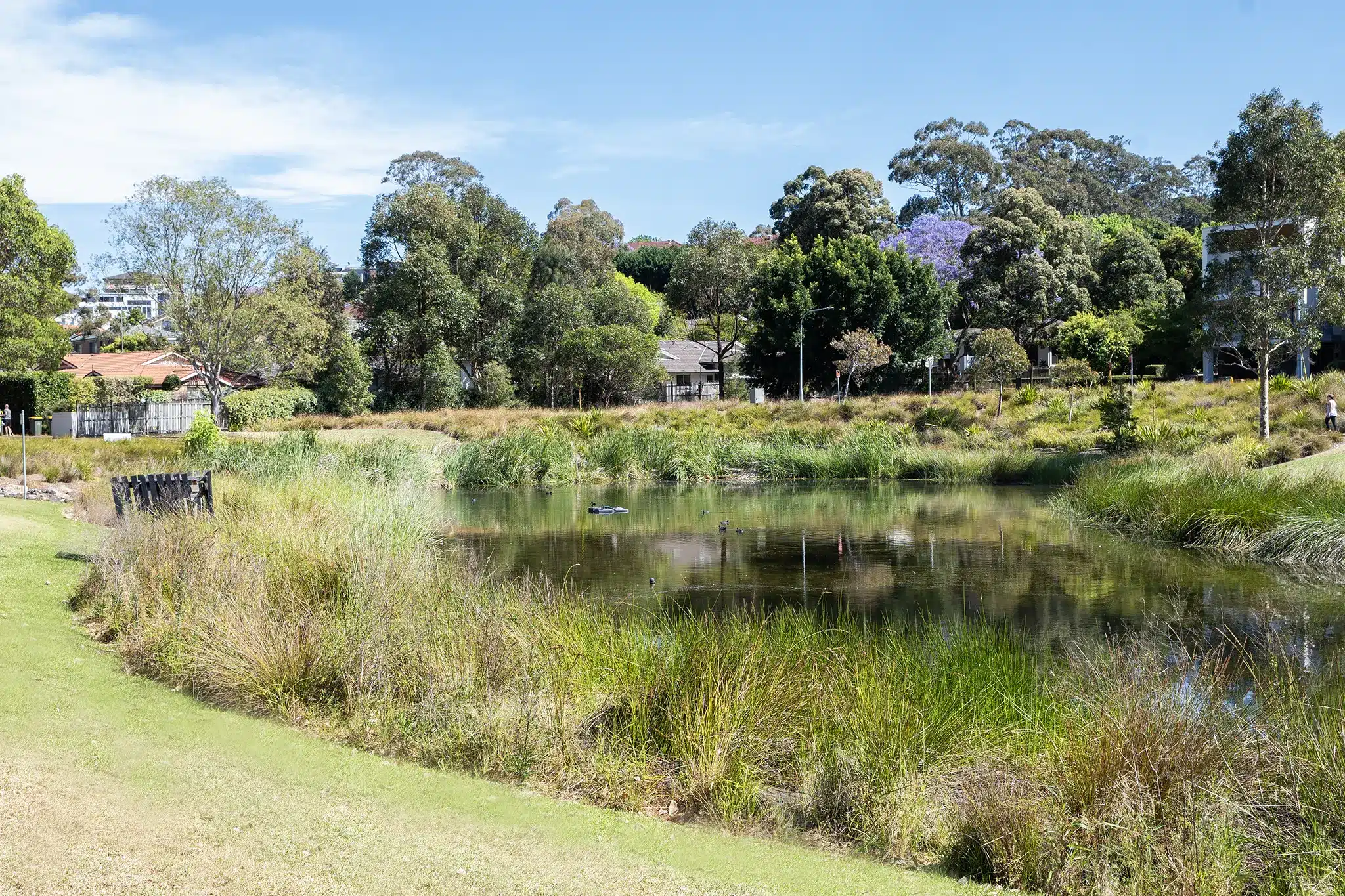 Safe & Friendly Shared Home in Ryde — Home image 5