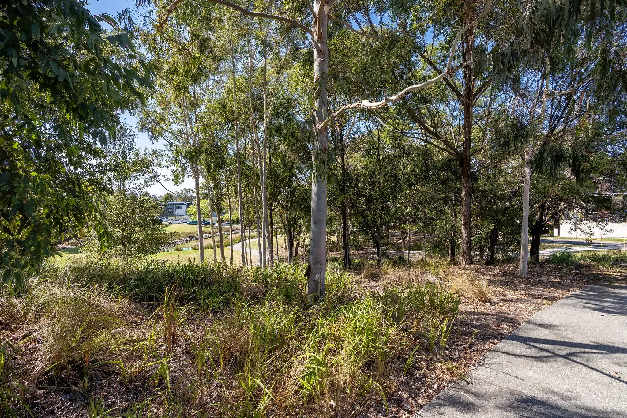 Safe & Friendly Shared Home in Ryde — Home image 8