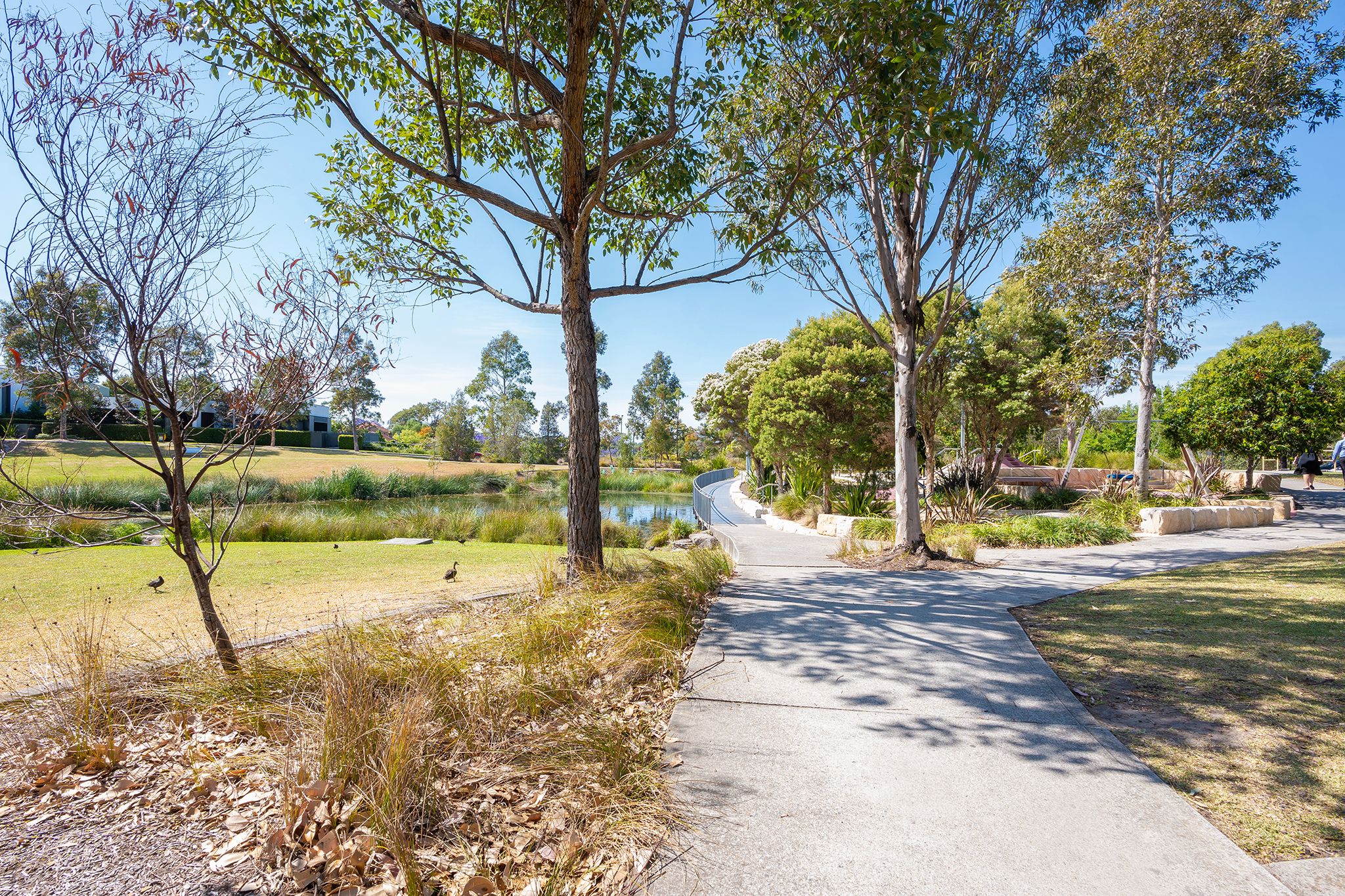 Safe and Friendly Shared Home in Ryde — Home image 3