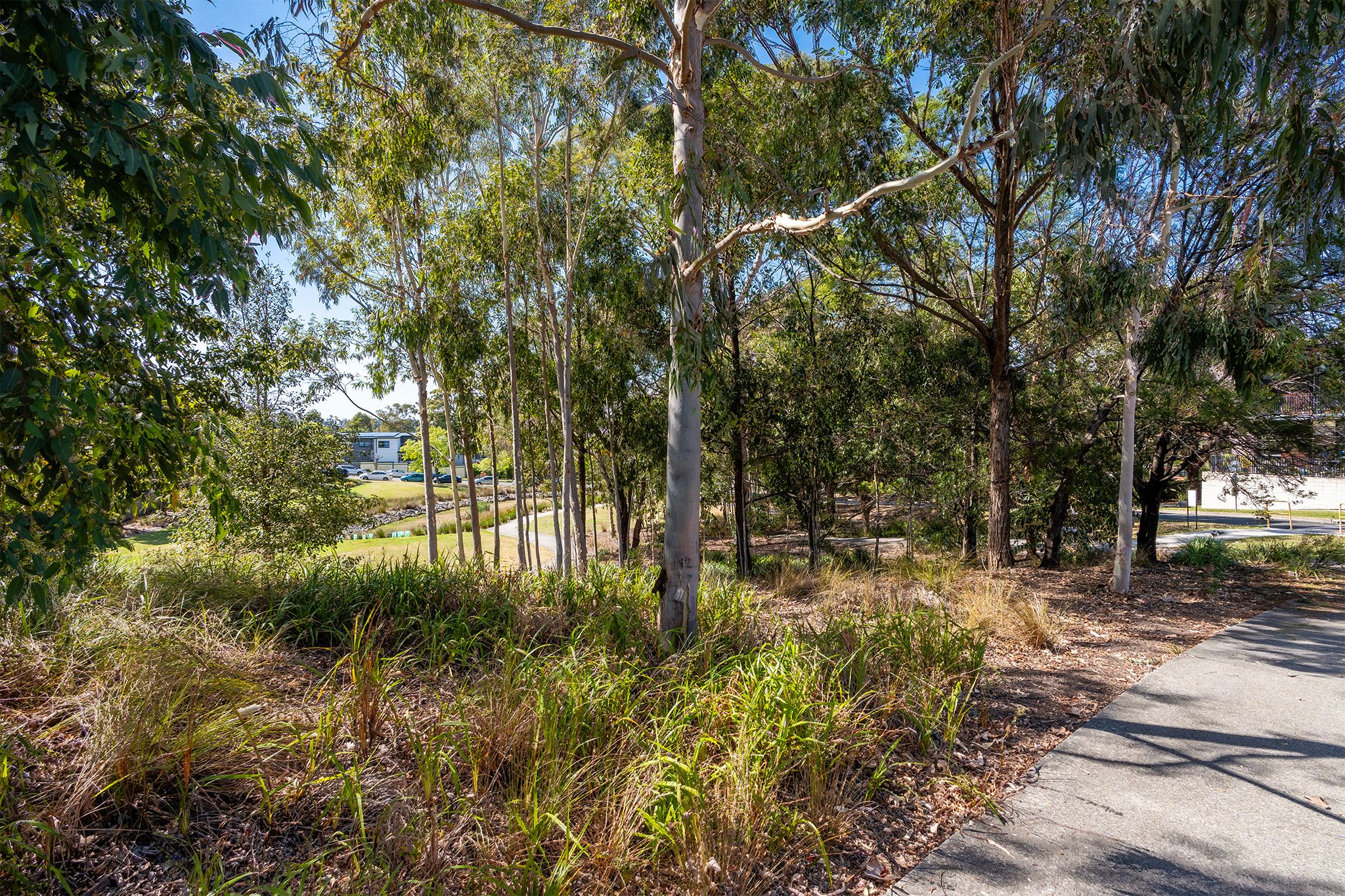 Safe and Friendly Shared Home in Ryde — Home image 5