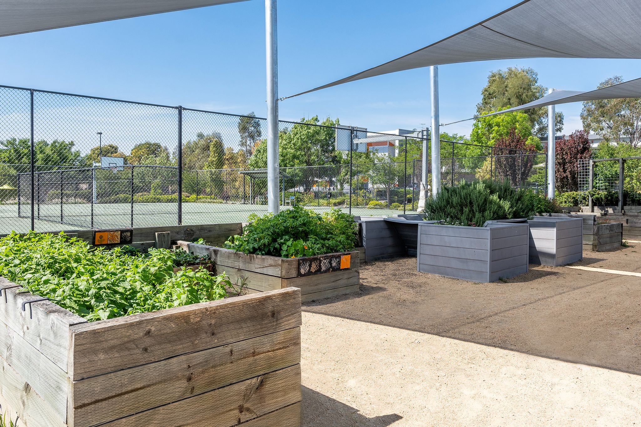 Safe and Friendly Shared Home in Ryde — Home image 13