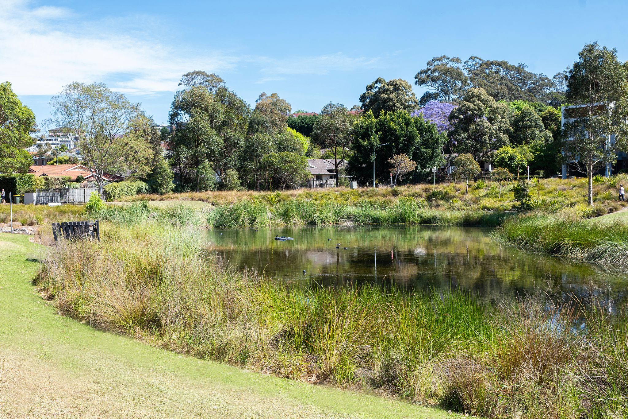 Safe and Friendly Shared Home in Ryde — Home image 16