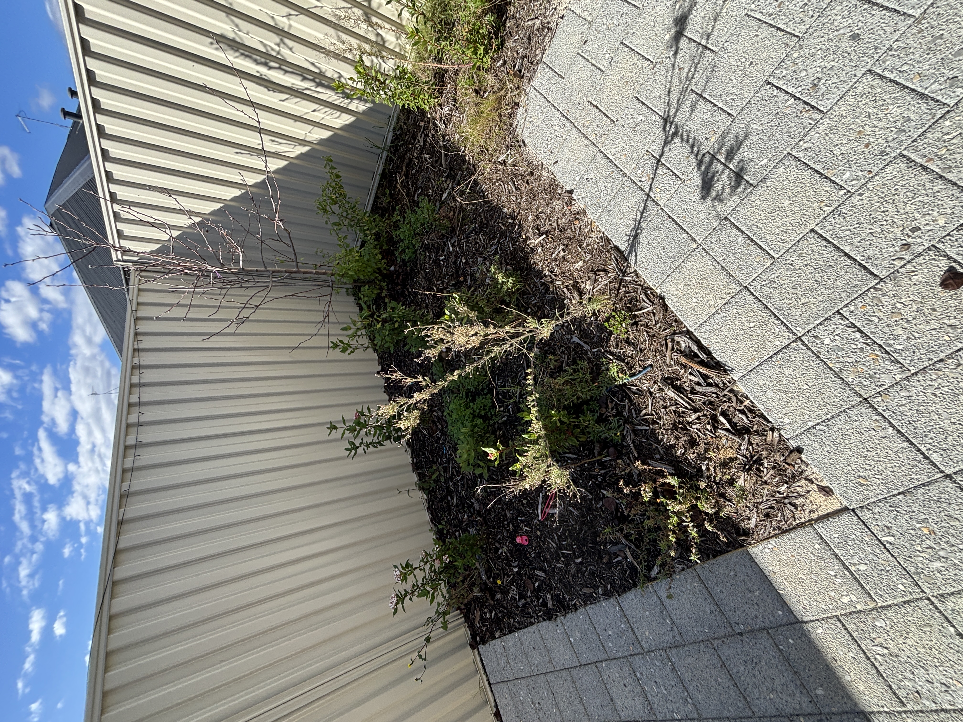 Hilbert SDA House — Home image 17