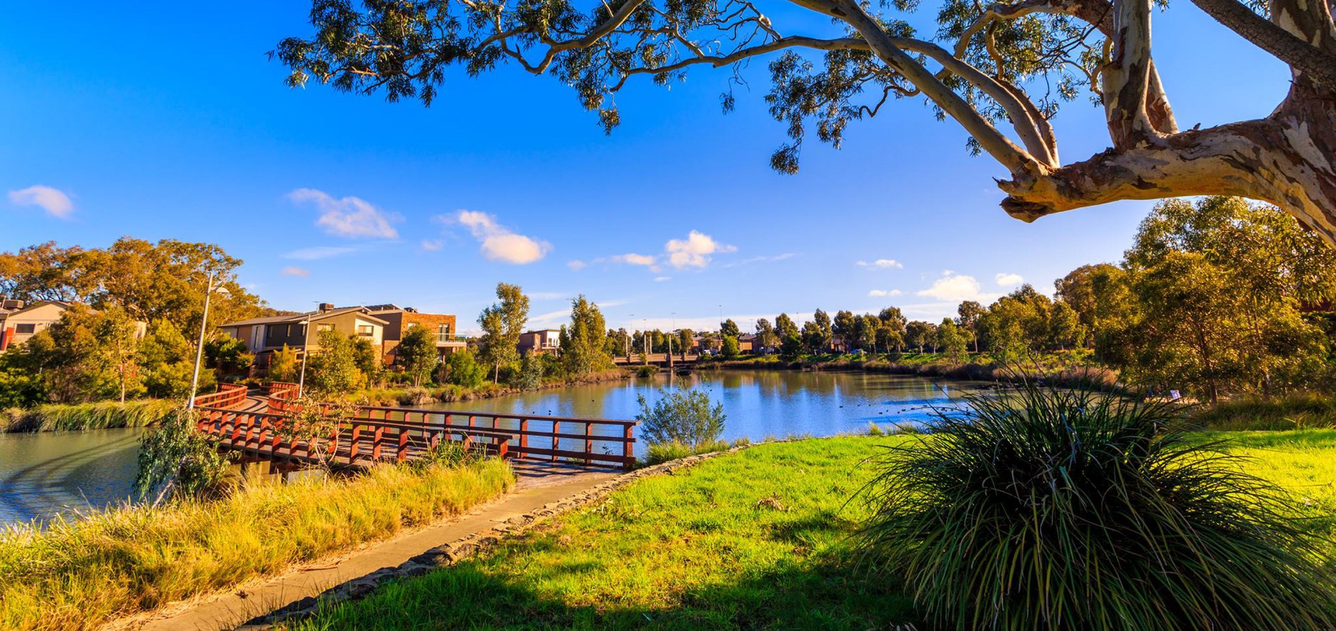 Modern Comfort in Epping: Your Bright and Accessible Home — Home image 8