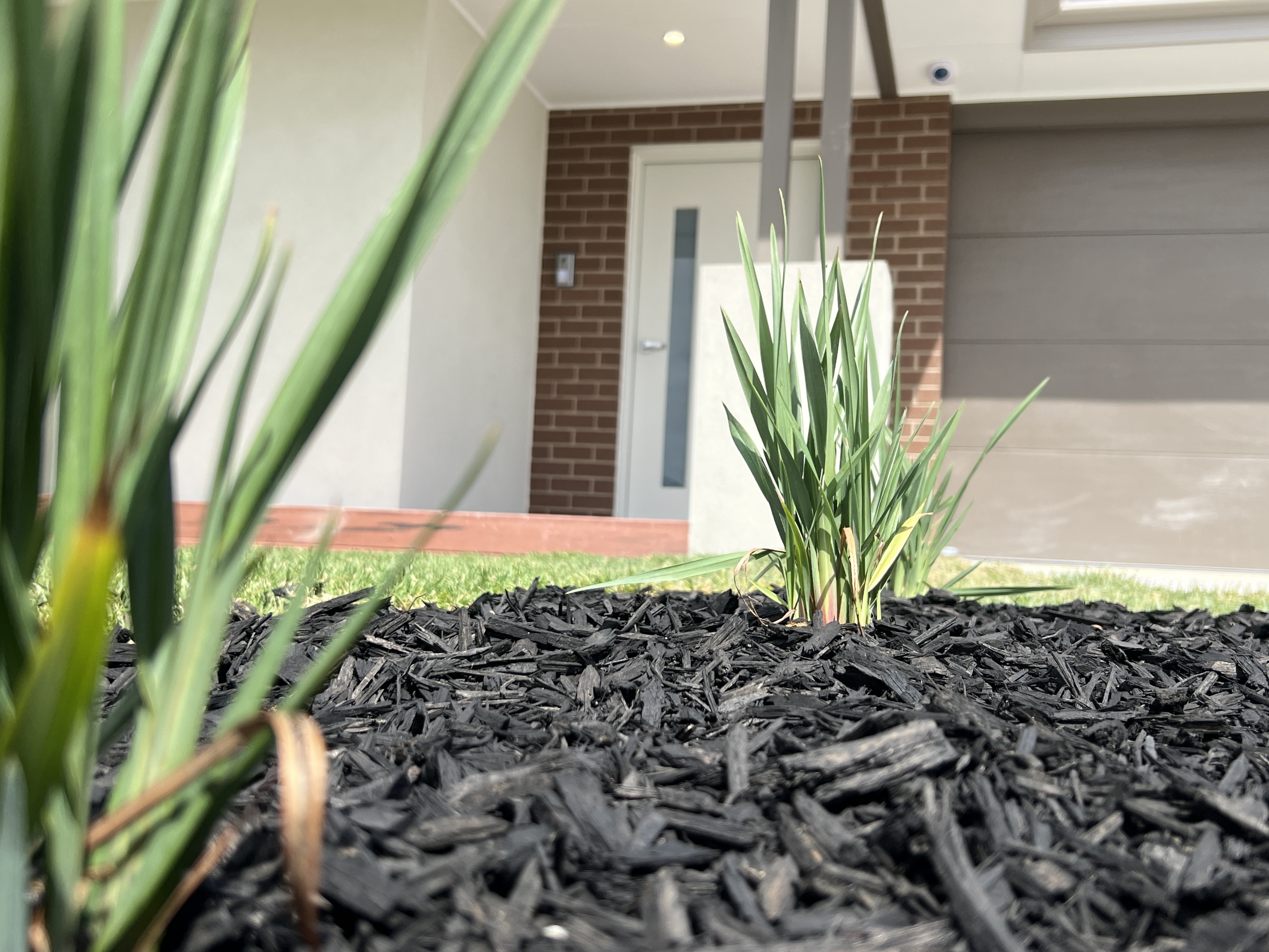 Botanic Ridge — Home image 2