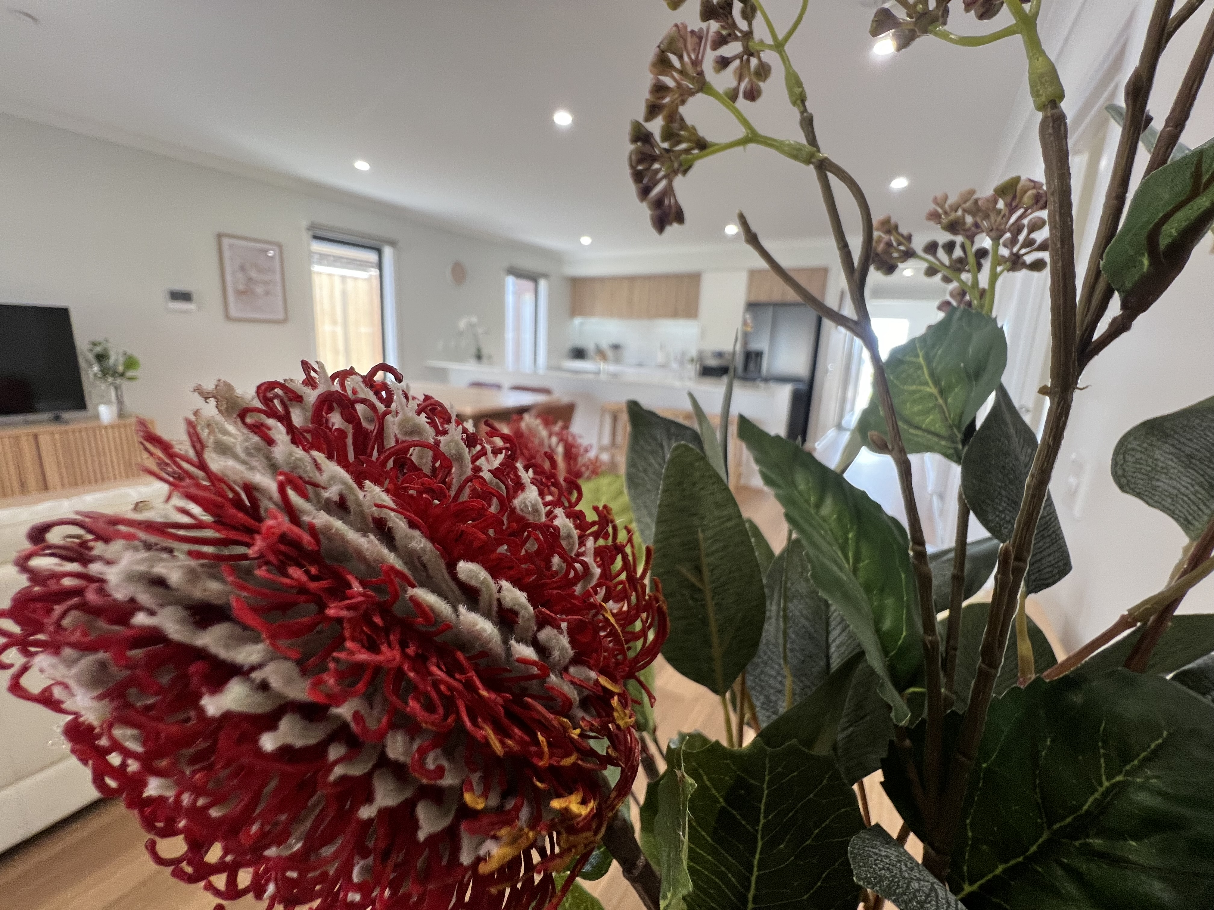 Botanic Ridge — Home image 10