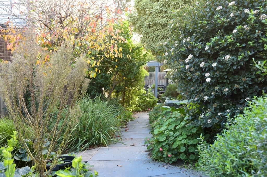 Two-storey townhouse property in a quiet residential neighbourhood - supporting people living with psychosocial disability — Home image 5