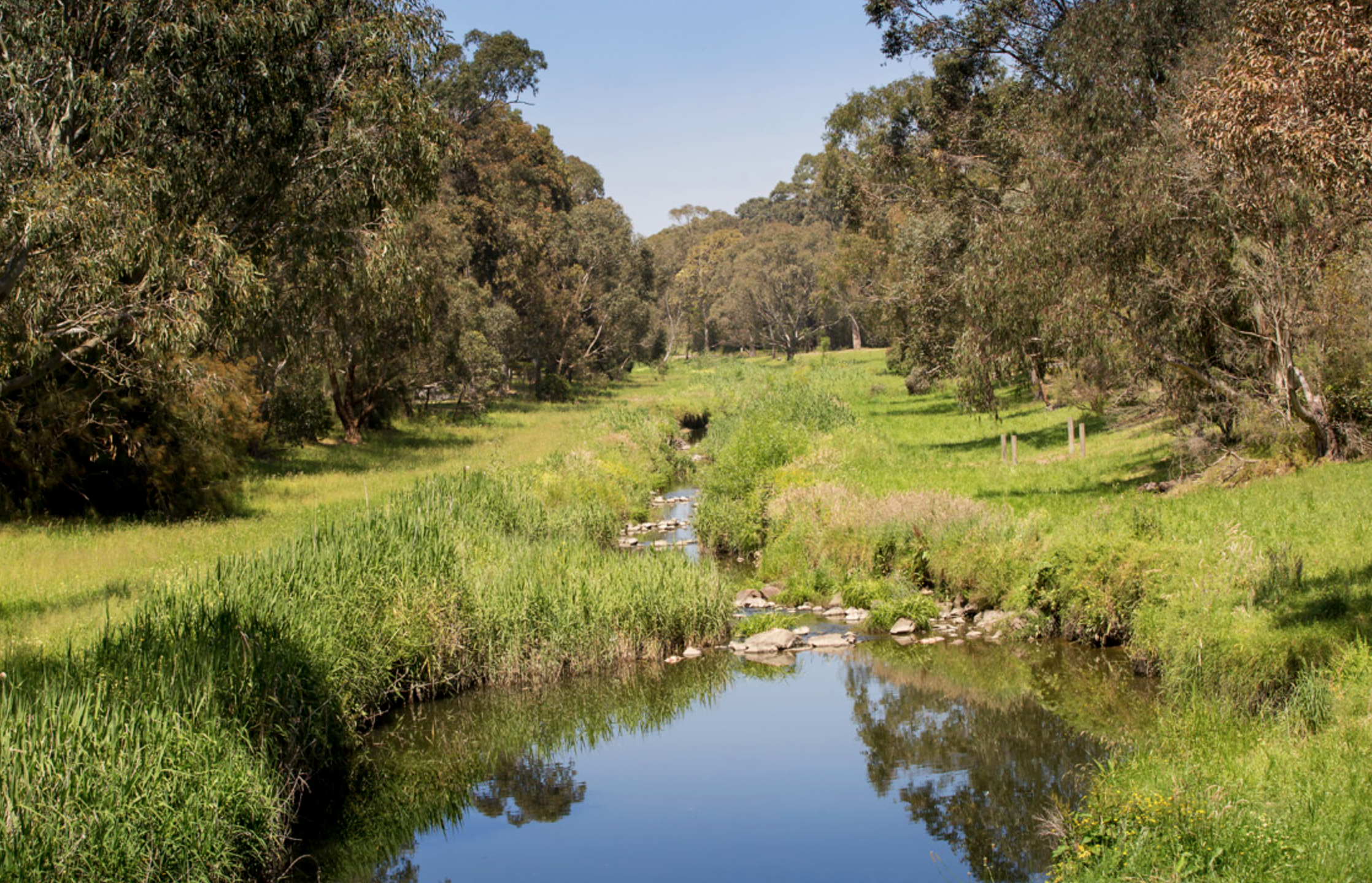 HPS SDA Homes in Prime Dandenong Location – Multiple Options Available — Home image 4
