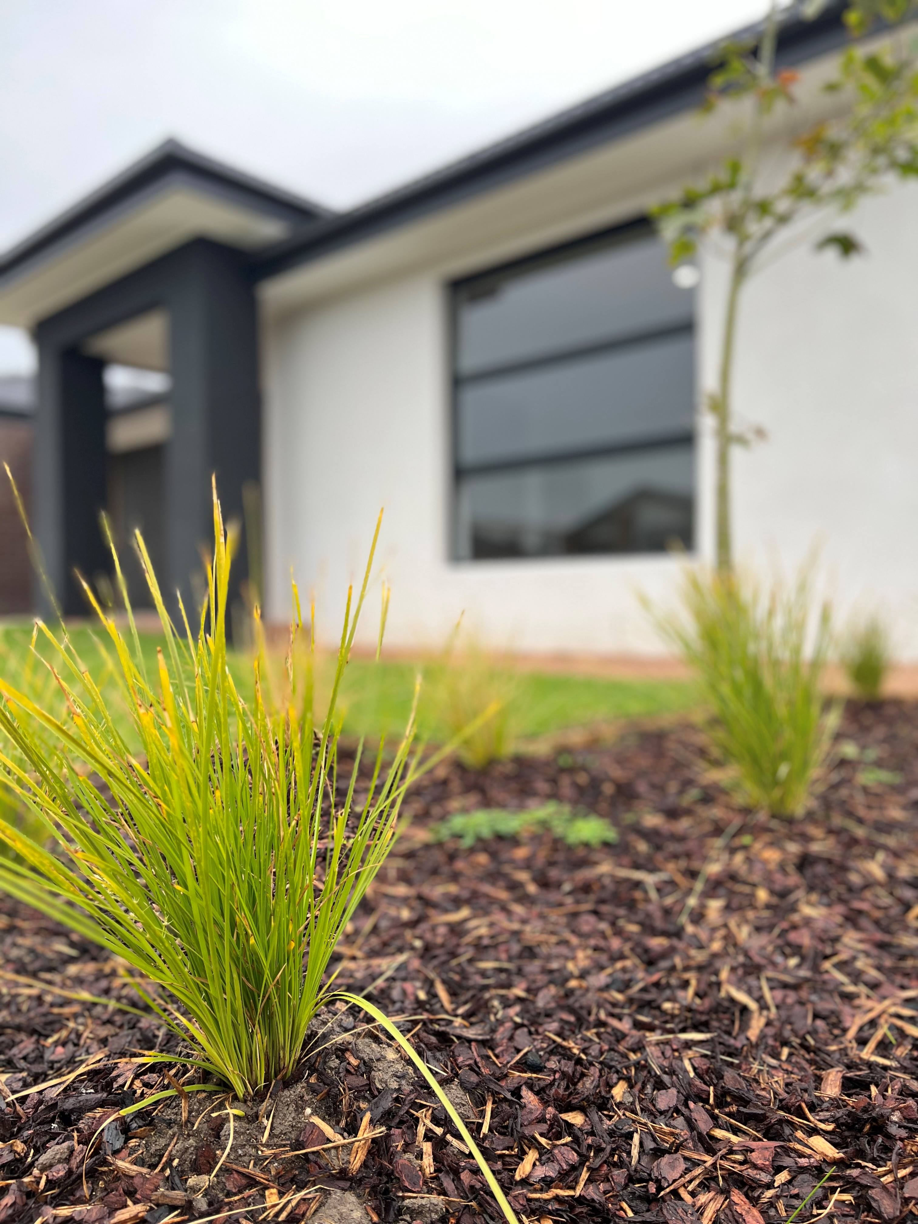 2 Participant Robust House in Armstrong Creek! — Home image 4