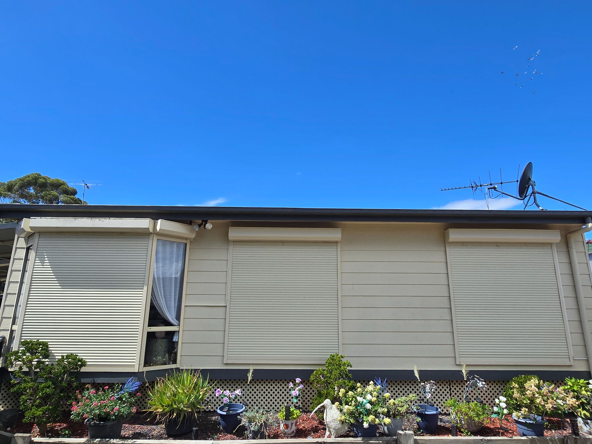Endeavour Hills VIC, Tranquil Peaceful 2 bed Sanctuary Supported Independent Living (SIL) — Home image 11