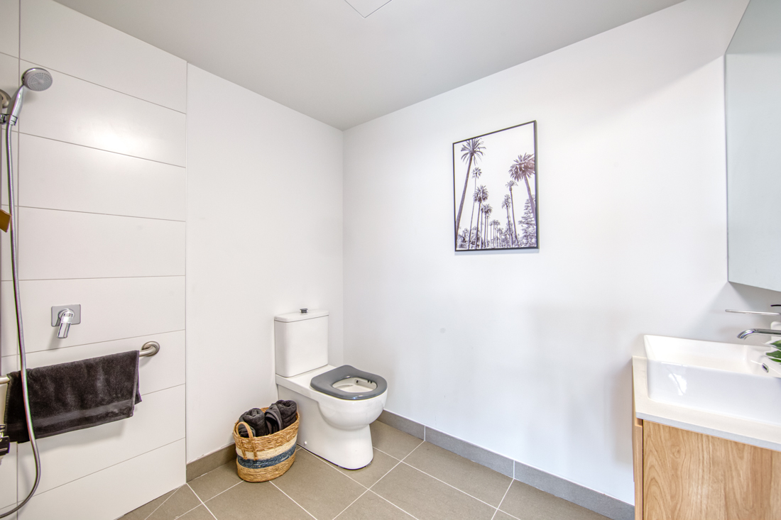 Bowerbird — Home image 10
