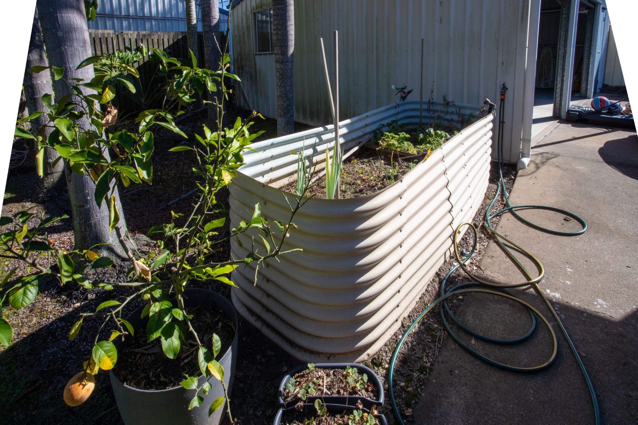 Maryborough — Home image 5