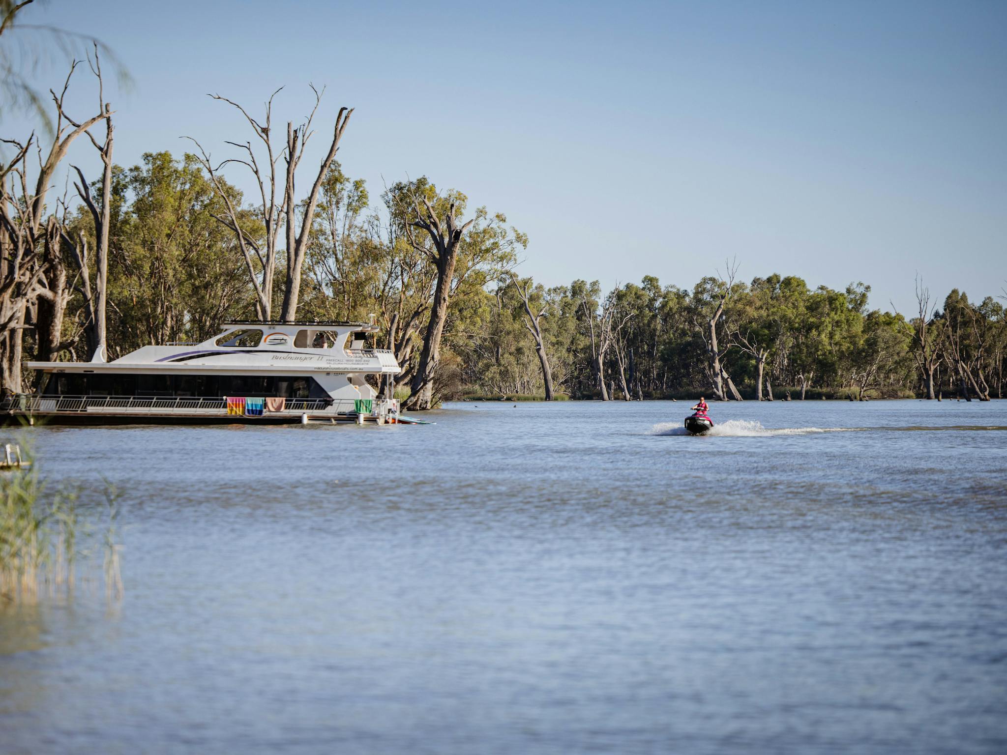 Discover Buronga, NSW: Your Ideal SDA Home Awaits — Home image 4