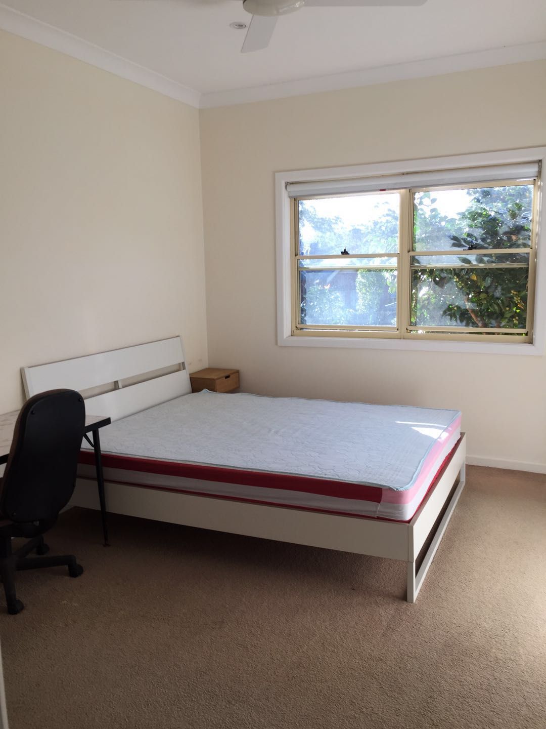 Waitara — Home image 2