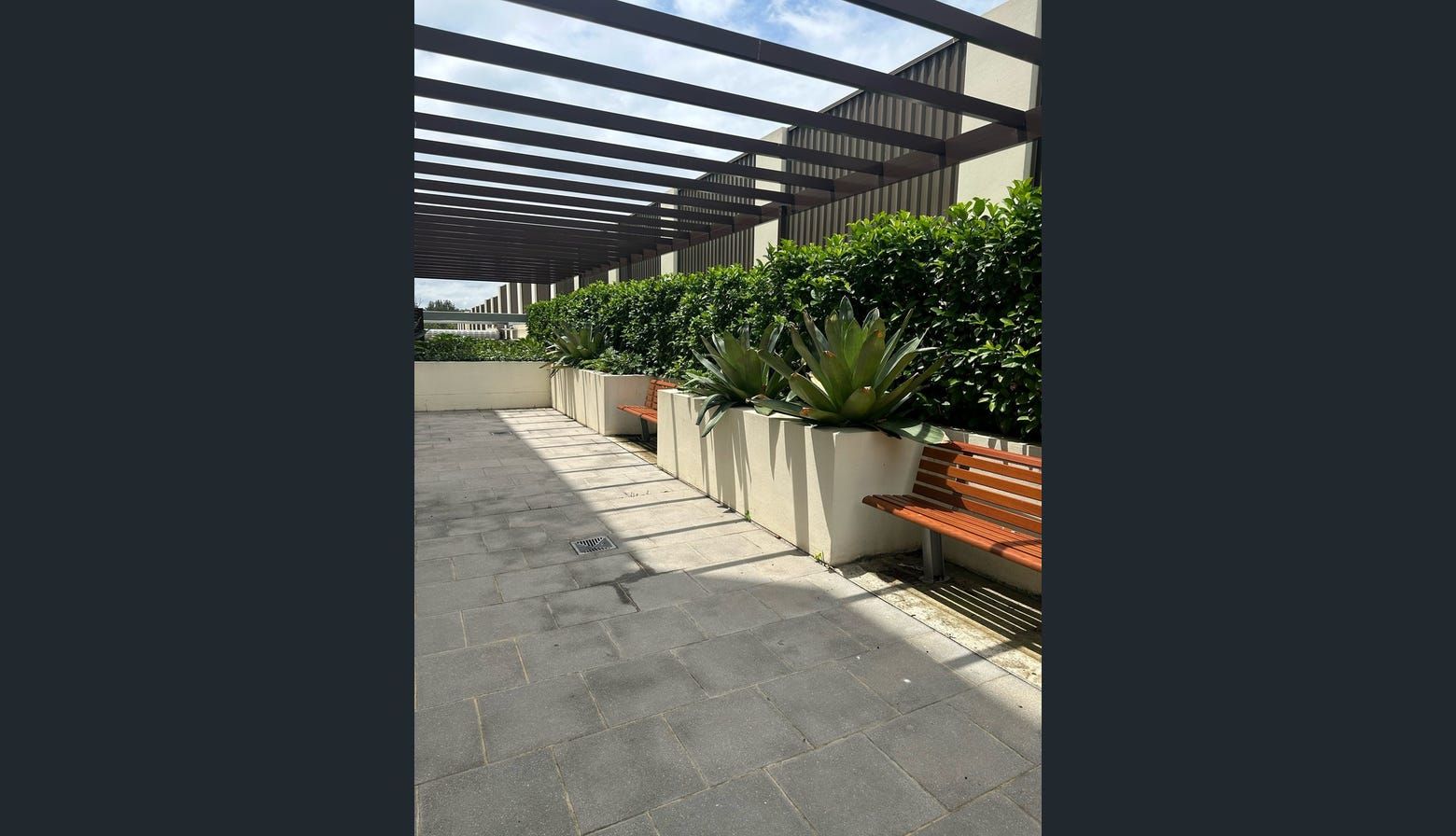 Schofields (ILO) — Home image 3