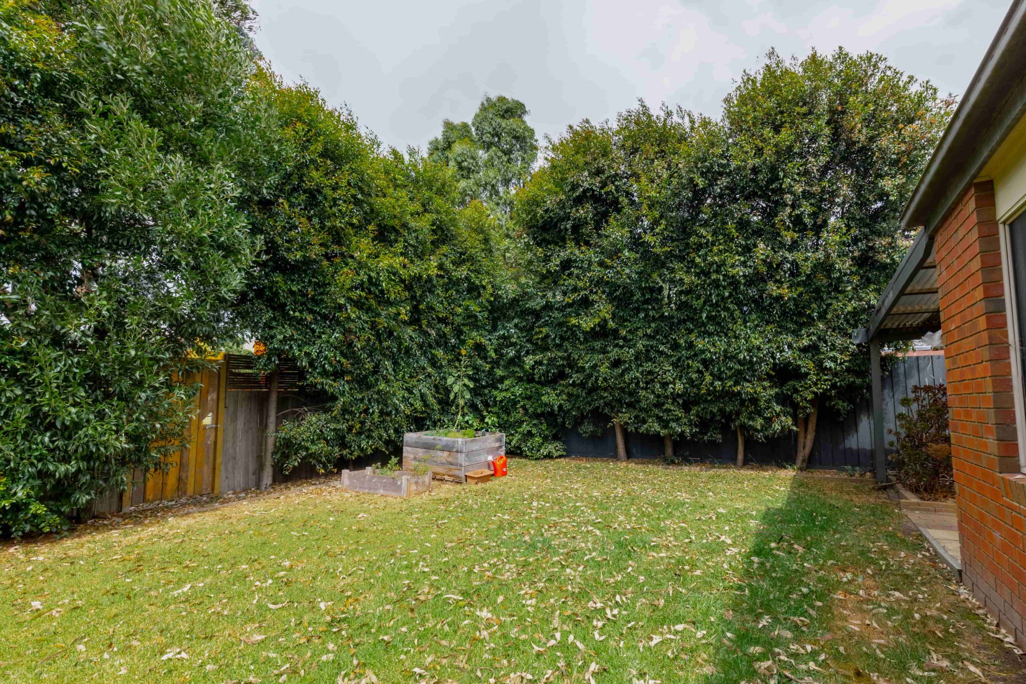 Comfortable & Social SIL Home in Cranbourne East with Garden Retreat — Home image 3