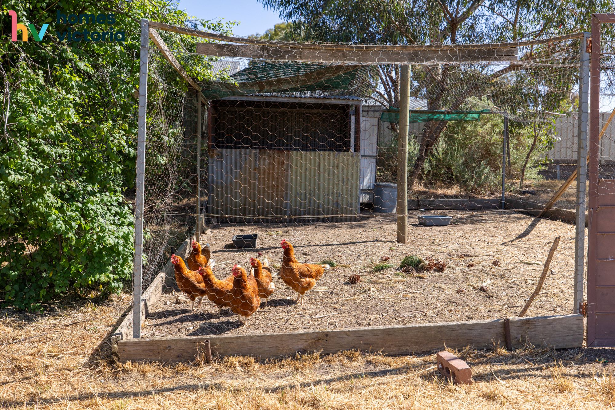 Serene living in sunny Stawell — Home image 3