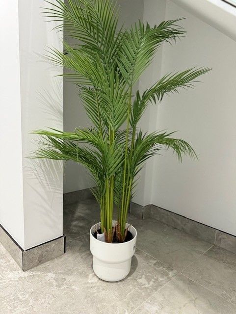 Sil Home — Home image 23