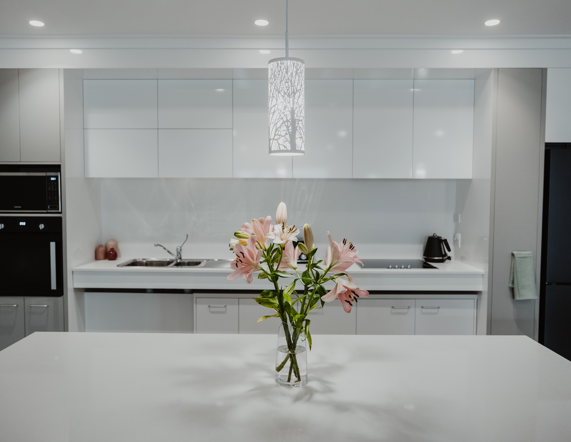 Derwent Place - brand new SDA homes in Hobart — Home image 2