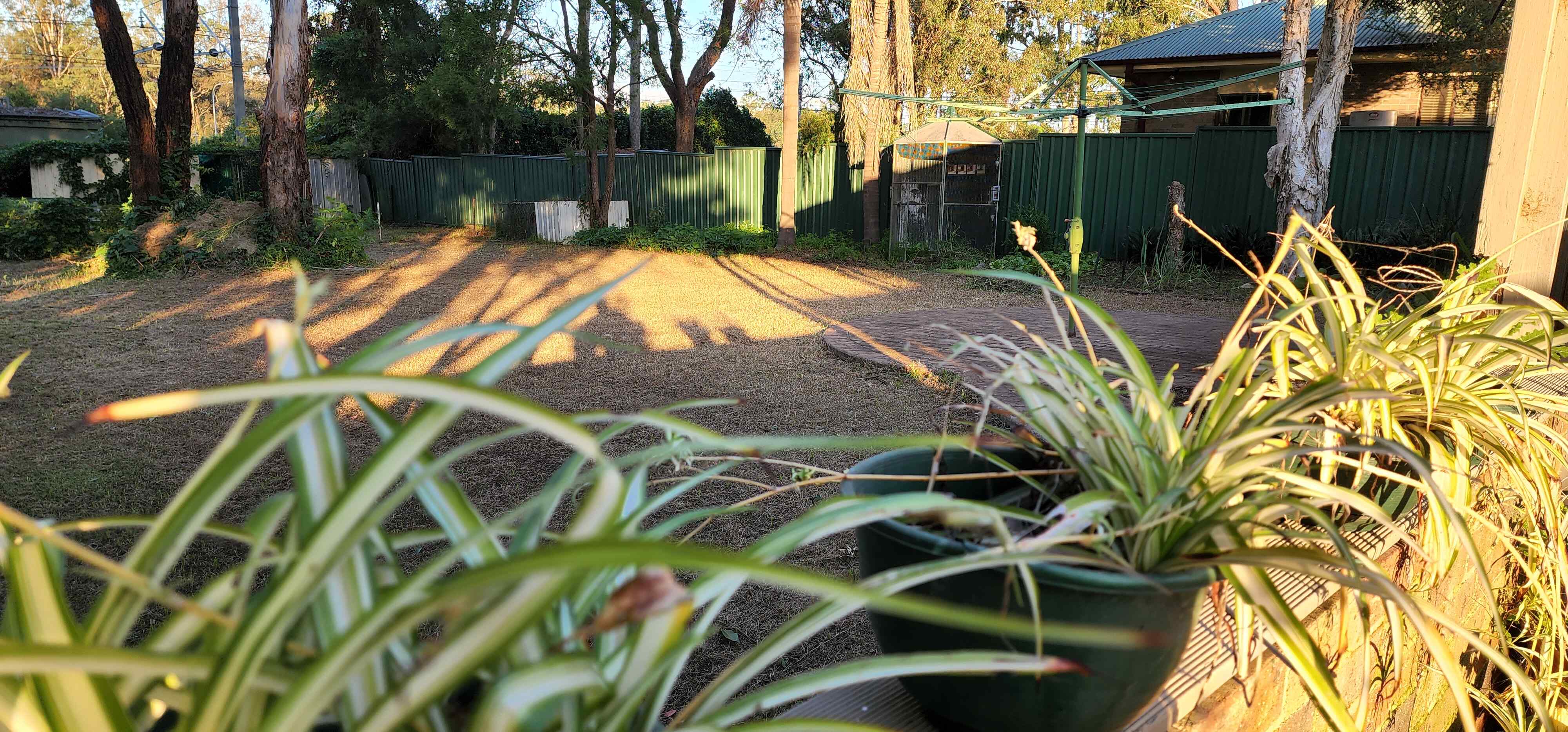 Schofields Group Home — Home image 8