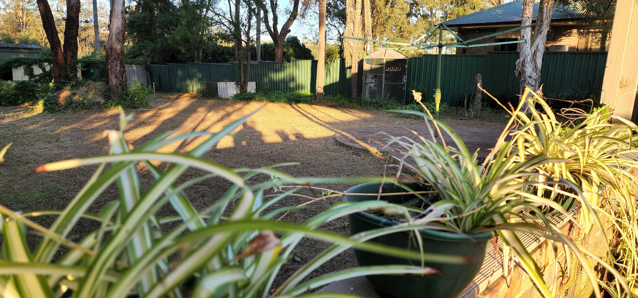 Schofields Group Home — Home image 13
