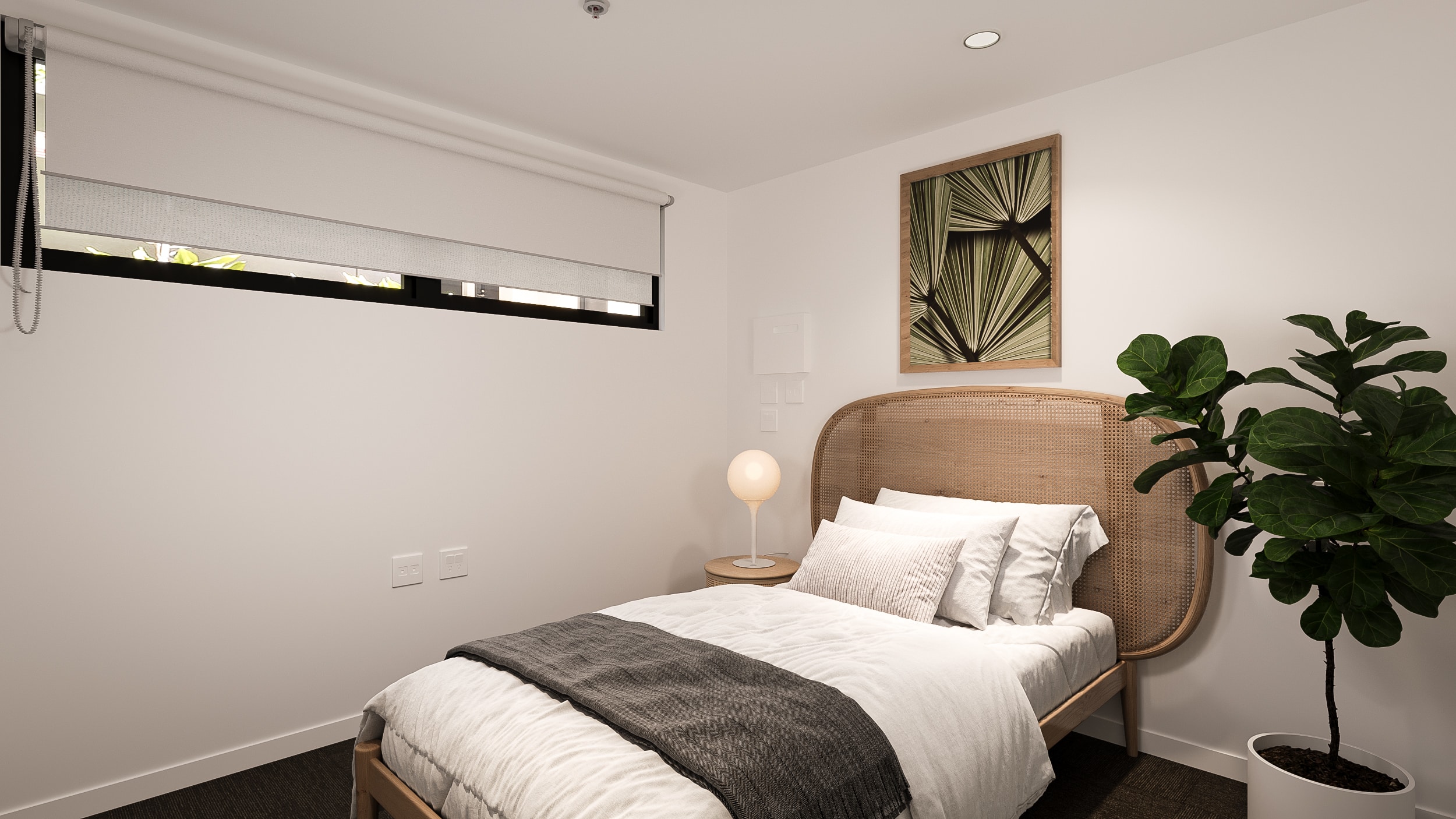 Adelaide – 248 Unley Road — Home image 10