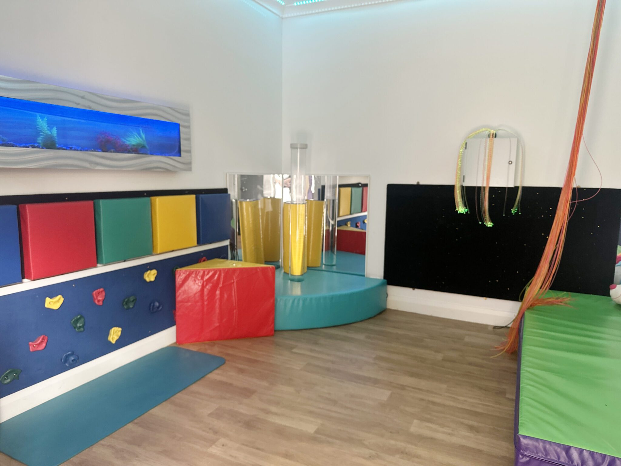 Caringbah Disability Accommodation 11-313H — Home image 3