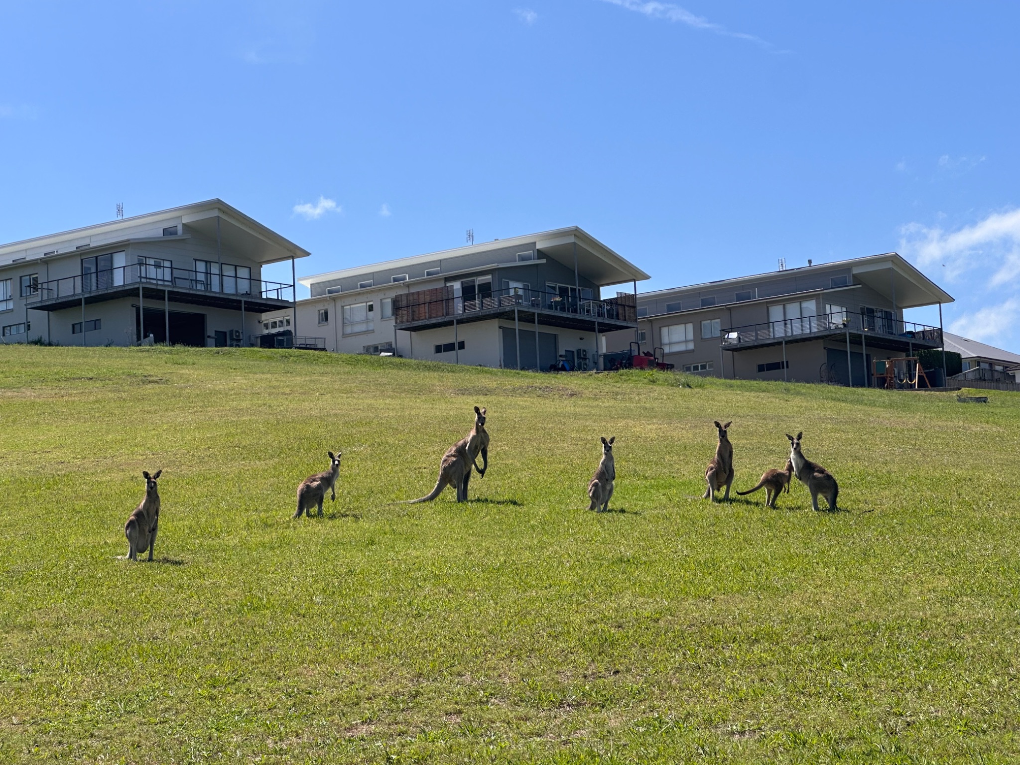 Lagoon Lodge — Home image 10