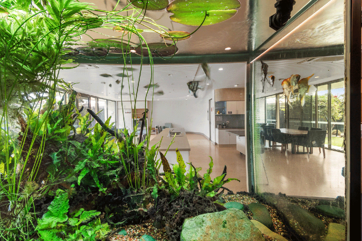 Beautiful, architecturally designed home built for fun in Ivanhoe — Home image 8