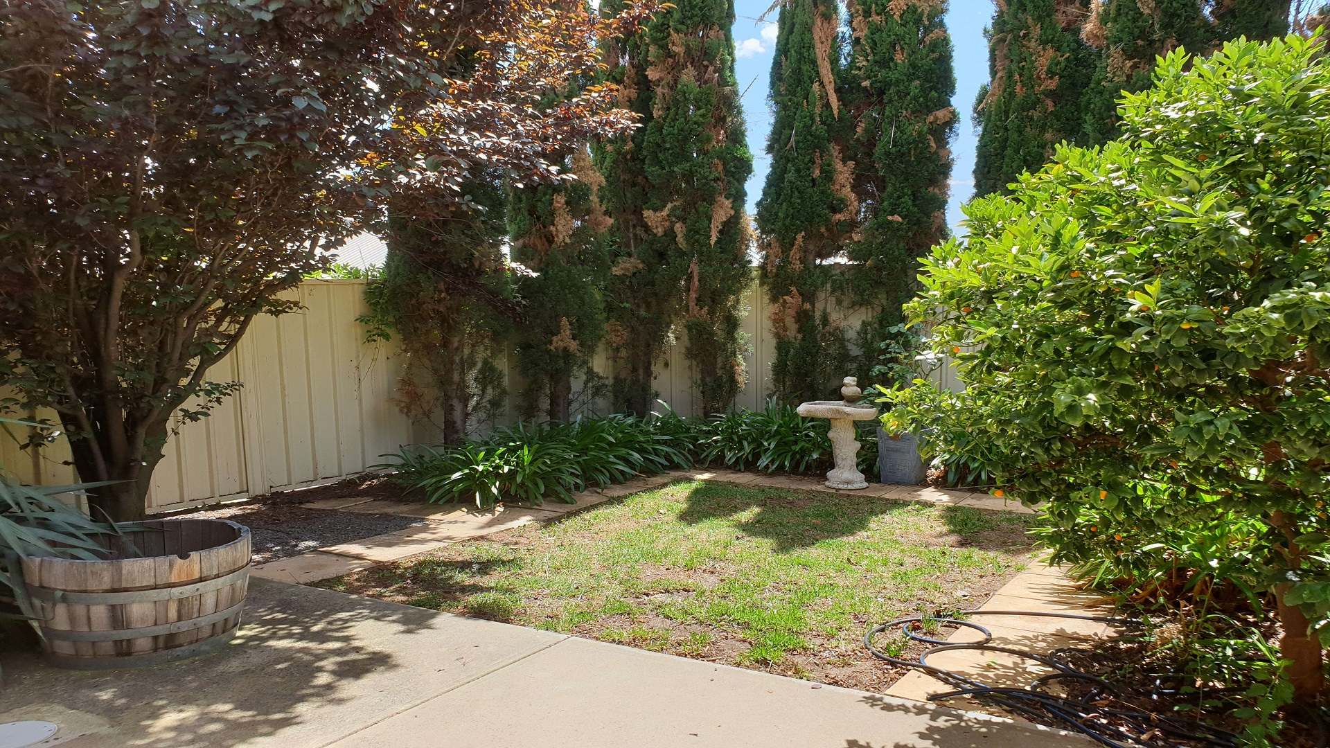 SEACOMBE GARDENS AVAILABLE NOW! - Share Home (SDA - High Physical Support) — Home image 2