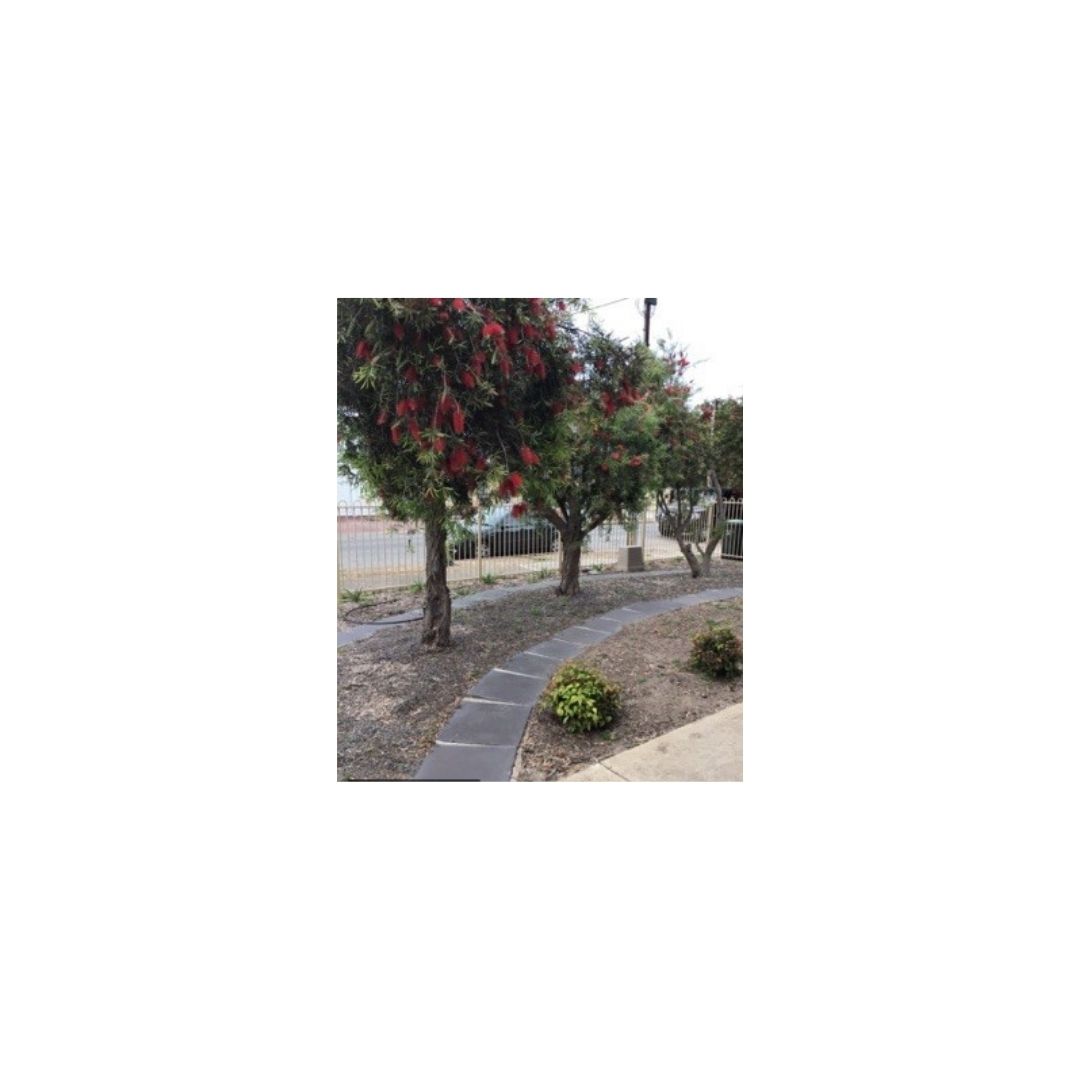 Park Holme - 1 bedroom - Shared home - High Physical Support — Home image 5