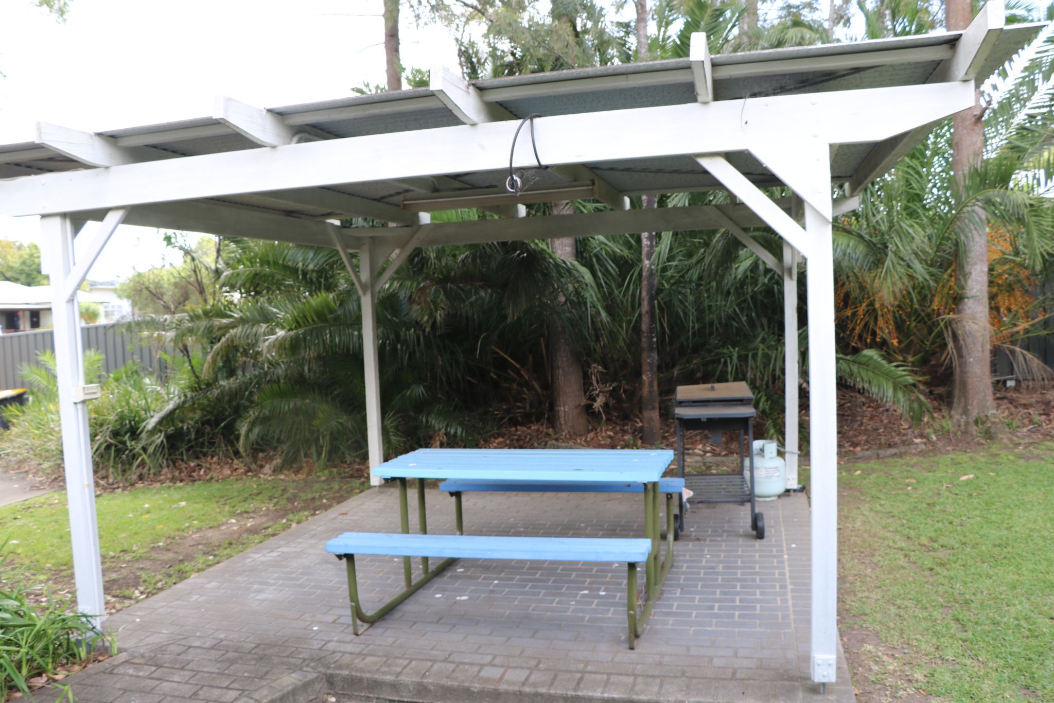 CareSouth — Home image 6