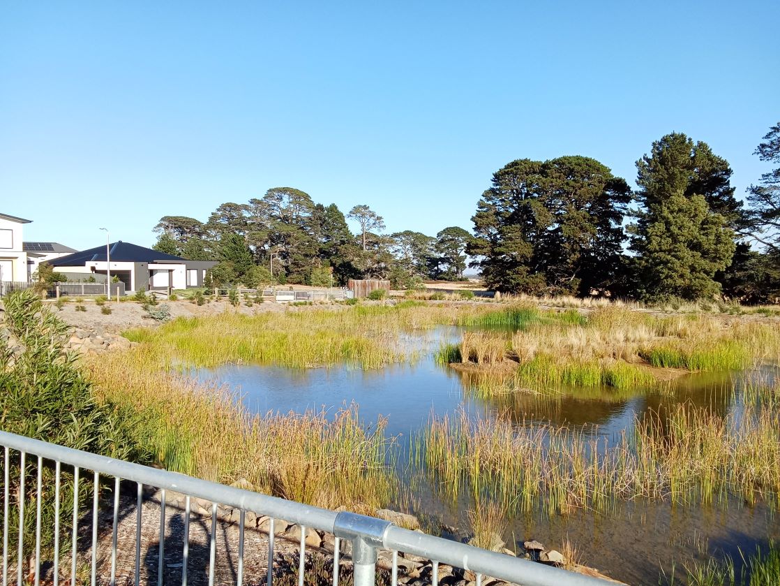 Platinum Level SDA House available - Hammond St, Lucas, VIC — Home image 3