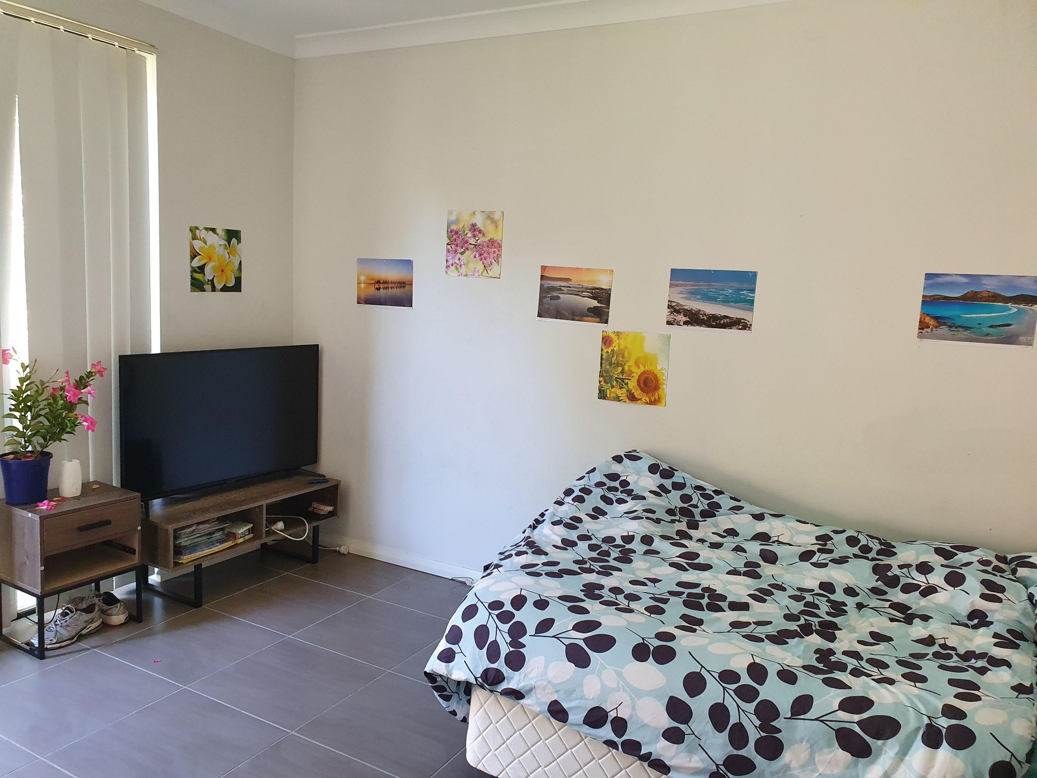Peace of Mind — Home image 4