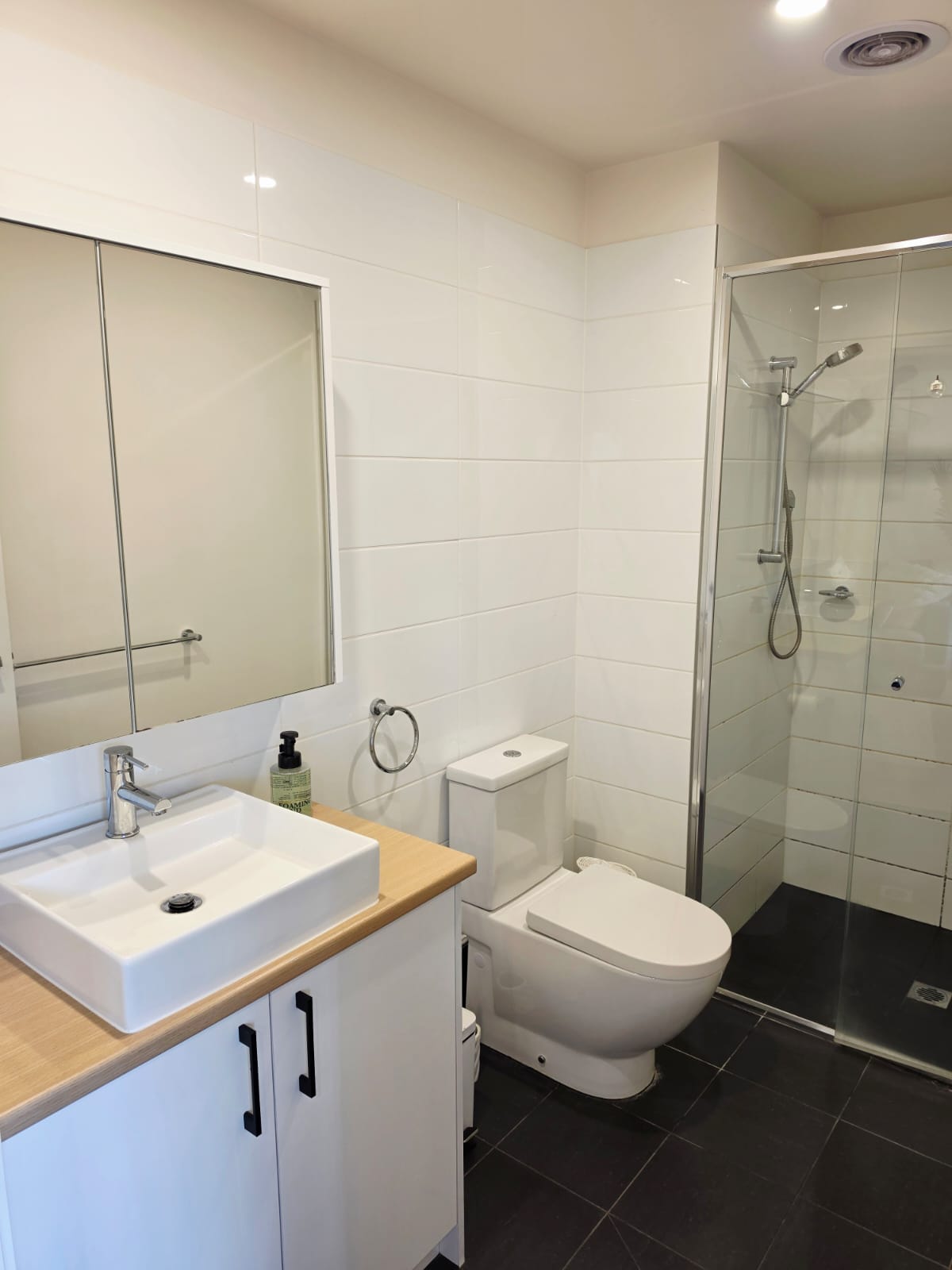 Modern 2BR/2BA Apartment in Carnegie Perfect for Independent SIL Living — Home image 3