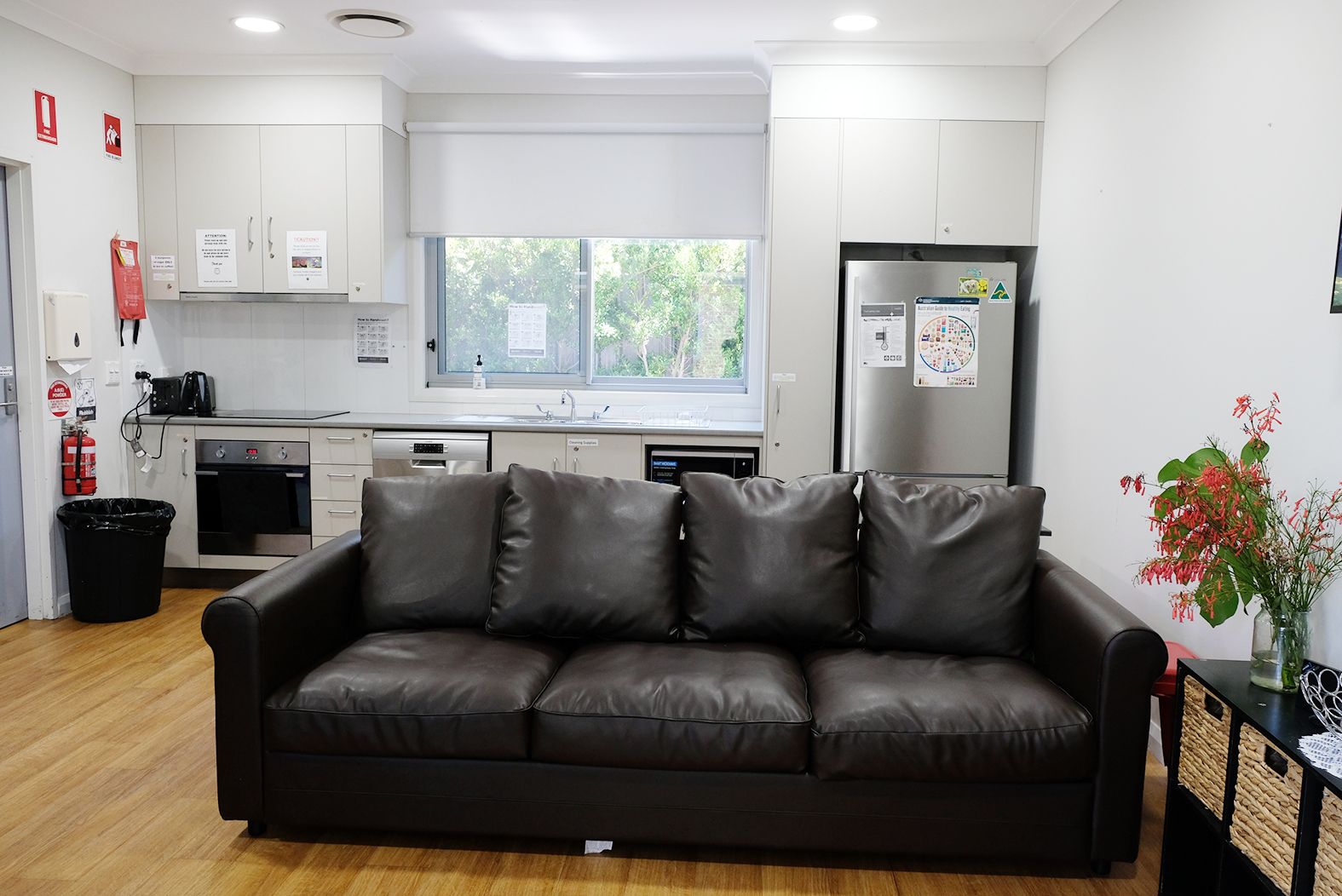Discover — Home image 9