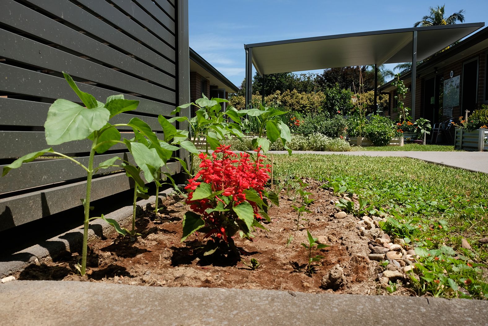 Discover — Home image 16
