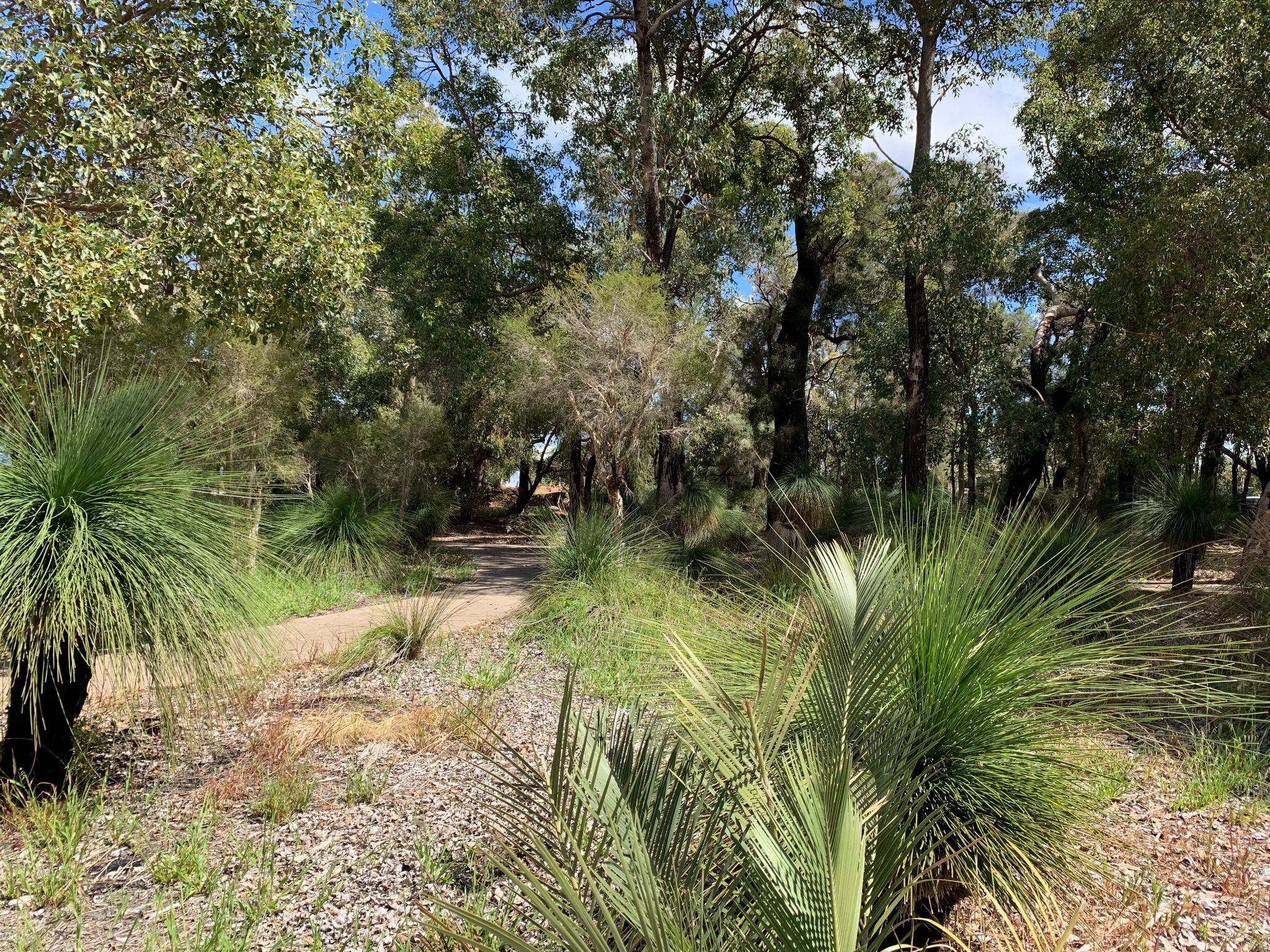 Join the “Gals” in Ellenbrook — Home image 11