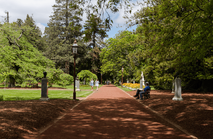 Nature, Culture & Care – Your Ideal SDA HPS Home in Ballarat — Home image 4