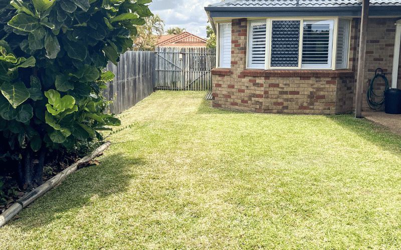 A rare vacancy in our beautiful Wellington Point home! — Home image 5