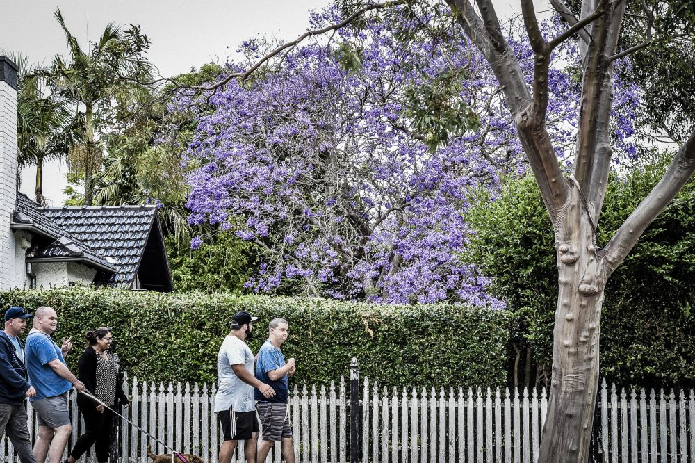 Accommodation in Harrington Park — Home image 4