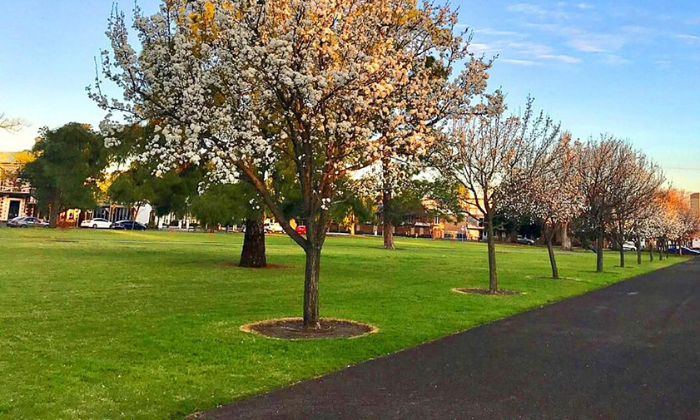 Wellington (North Adelaide) - Supported Independent Living — Home image 5