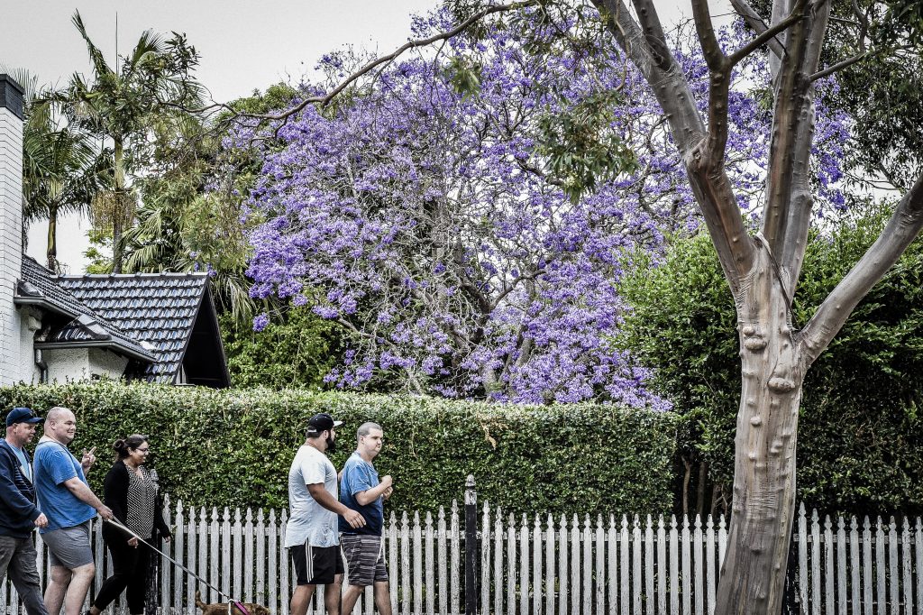 Accommodation in Sylvania, Sutherland Shire — Home image 3