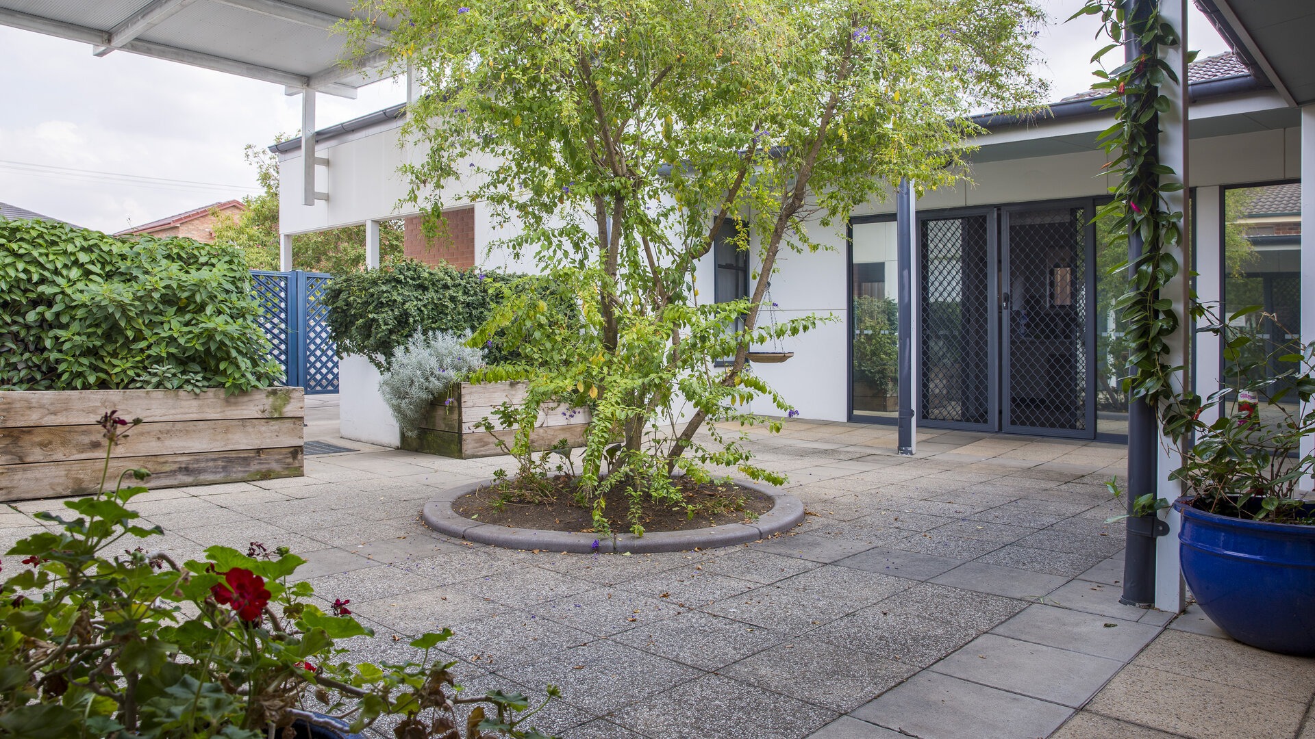 Comfortable and spacious home in Merrylands — Home image 2