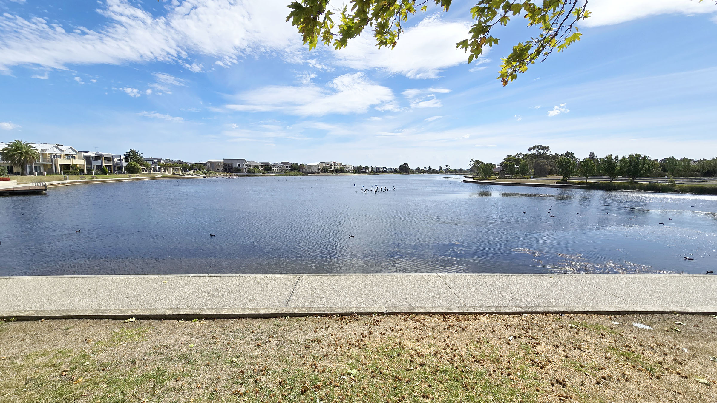 SDA HPS 3 Bedroom House plus OOA Pakenham, Vic  170 — Home image 4