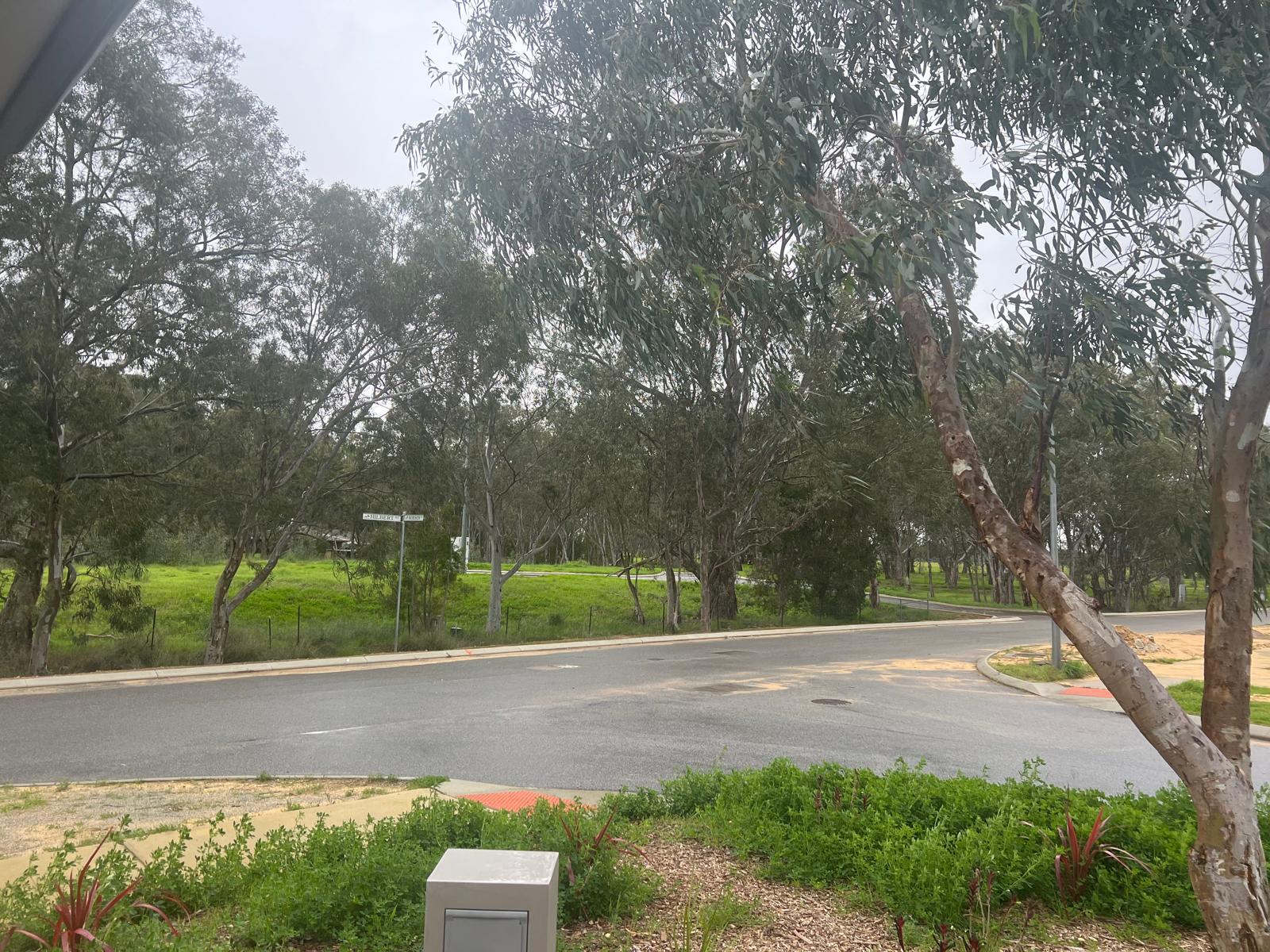 Brand new SDA available to move in — Home image 2