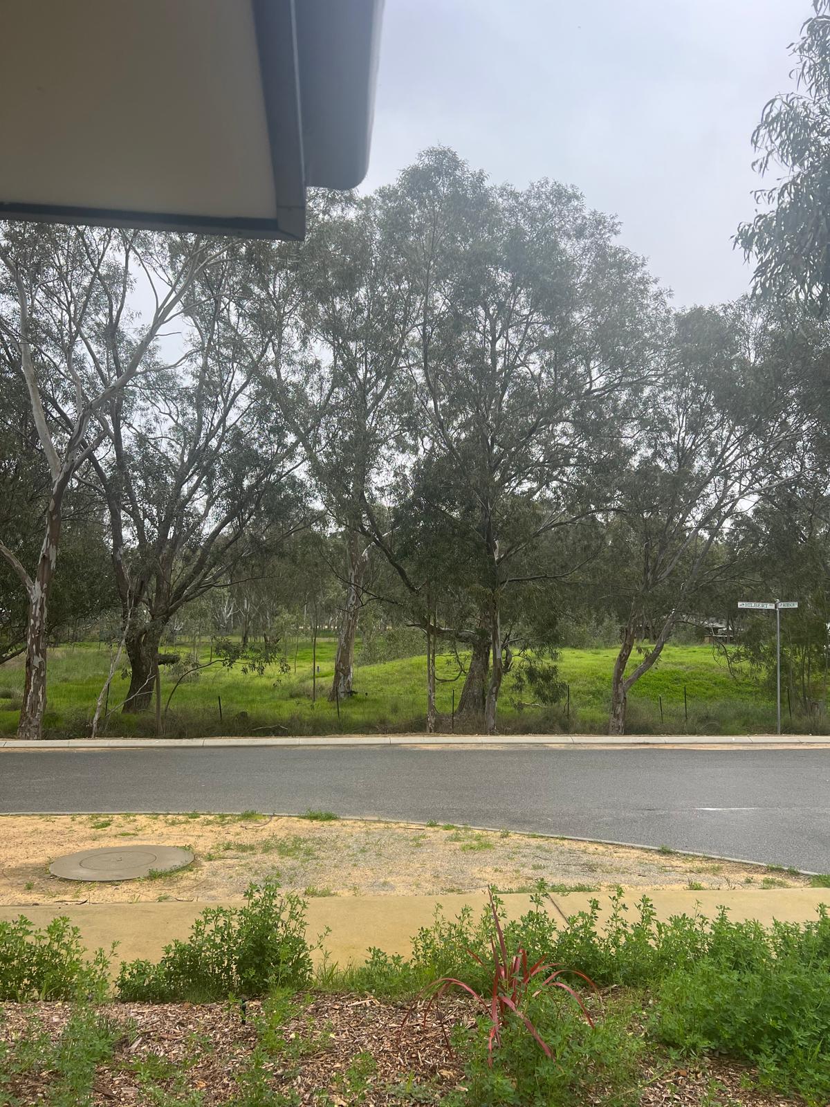 Brand new SDA available to move in — Home image 5